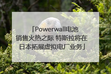 Powerwall电池销售火热之际 特斯拉将在日本拓展虚拟电厂业务